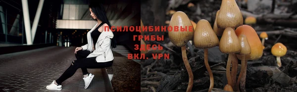 кокаин Алексин