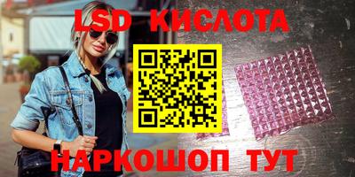 крисы Тверь