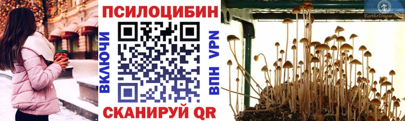 Псилоцибиновые грибы прущие грибы  Спасск-Дальний 